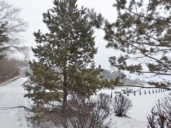-长春净月潭风景名胜区