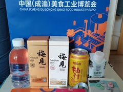 -重庆国际会议展览中心