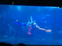 -威海华夏城景区