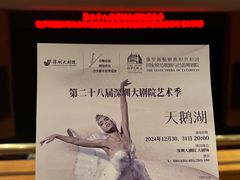 -深圳大剧院