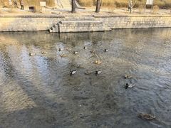 -元大都城垣遗址公园