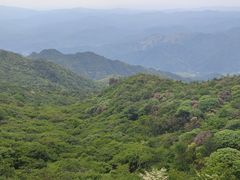 -大围山国家森林公园