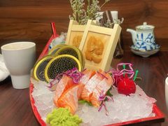 -黑松白鹿(金融街店)