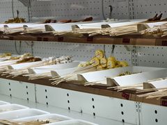 -玉林串串香(九号天地店)