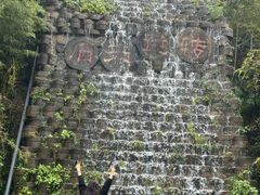 -千年银杏谷文化旅游区