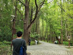 -同里国家湿地公园