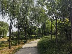 -天津东丽湖风景区