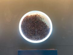 -青藏高原自然博物馆