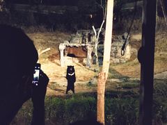 -清迈夜间动物园