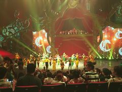 -珠海横琴长隆《卡卡虎奇遇记》