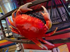 -胖哥俩肉蟹煲(来福士店)