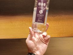 -深圳机场凯悦酒店