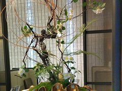 -海派悦庭·海胆烧麦·新融合菜(凯德广场店)