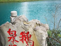 -靖西鹅泉风景区