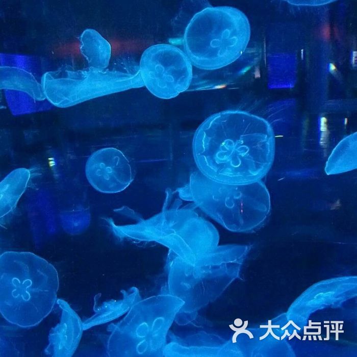 泰州溱湖海洋世界图片-北京海洋馆-大众点评网