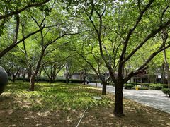 -The place那儿(新城国际店)