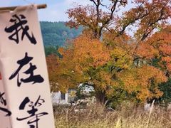 -塔川景区