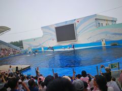 -北戴河圣蓝海洋公园