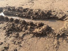 -青岛石老人海水浴场