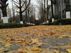 -两江幸福广场