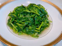 -蝶园·装修中(BFC外滩金融中心店)