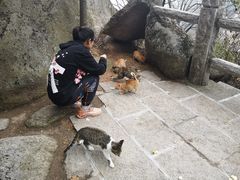 -崂山巨峰游览区