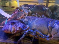 -Burger & Lobster(Dean Street)
