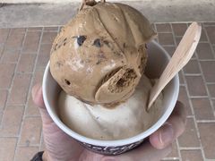 -Dooley's Premium Ice Cream