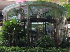 -上海波特曼丽思卡尔顿酒店