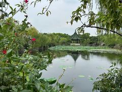 -无锡蠡湖国家湿地公园-蠡园