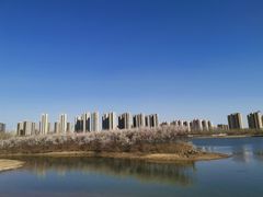 -丁香湖公园