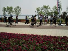 -武清南湖绿博园