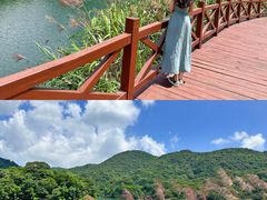 -广州市石门国家森林公园