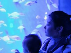 -成都浩海立方海洋公园