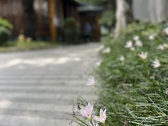 -大妙火锅·非物质文化遗产(东湖公园店)