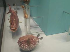 -天津自然博物馆