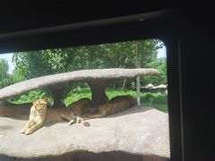 -北京野生动物园