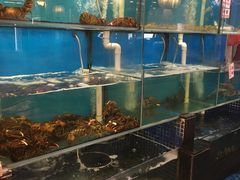 水产区-美居大酒楼(美居广场店)