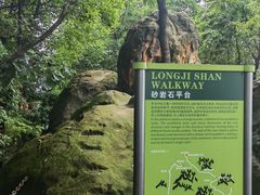-南山植物园
