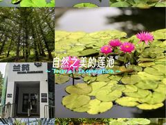 -国家植物园南园