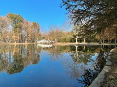 -上海共青森林公园