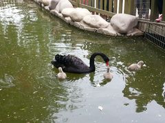 android_upload_pic-北京市海淀外国语实验学校