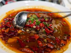 -侨美·唐荔园·40年地道粤菜