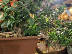 -嘉年华面包房餐厅（饺子馆）(陶然亭店)