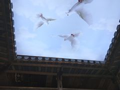 -徽三说·土徽菜·中国徽菜连锁品牌(一中店)