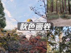 -青岛海滨风景区