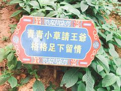 -珠海圆明新园