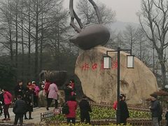 -长兴慧子土特产茶行