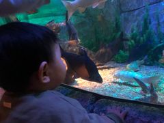 -沈阳海洋探索中心