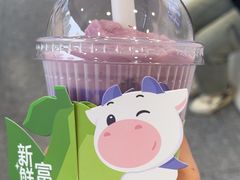 -一只酸奶牛(洪崖洞11楼店)